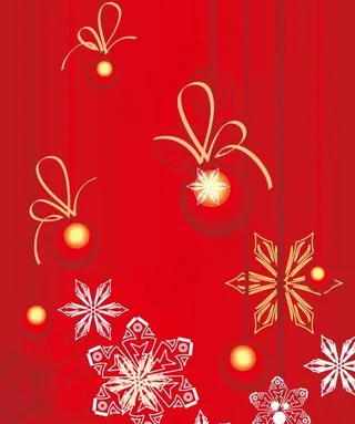 时尚冬季花纹背景矢量图085