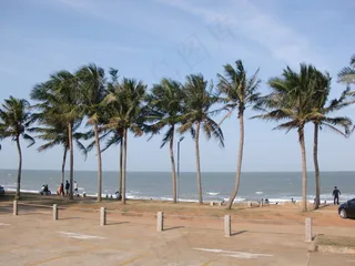 海南假日海滩椰子树图片