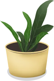 花盆 手绘植物