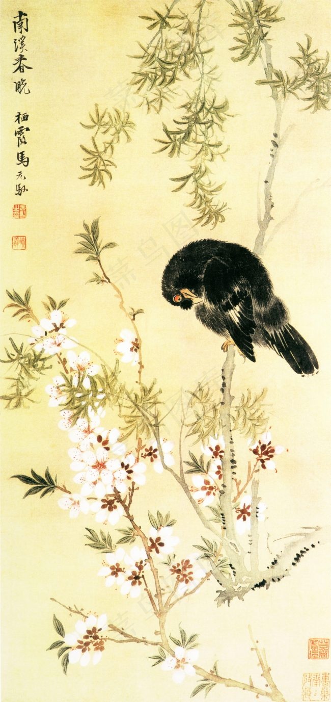 枝头上的鸟