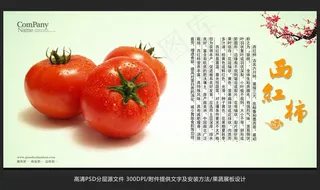 蔬菜展板设计西红柿海报招贴广告设计