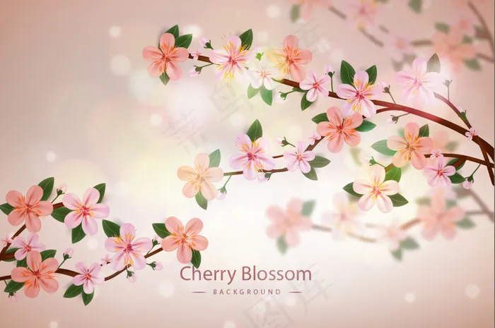 PSD素材花纹花纹矢量图花卉eps,ai矢量模版下载