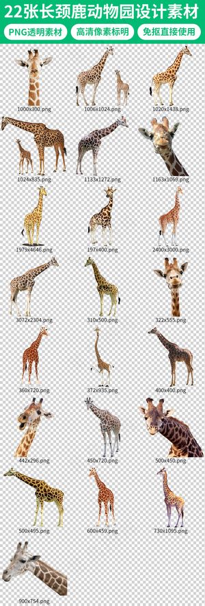 卡通小鹿长颈鹿梅花鹿动物园海报设计