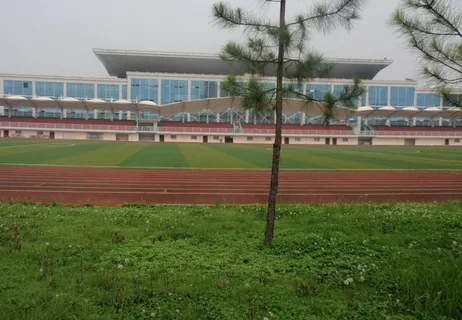 体育看台图片 体育看台图片