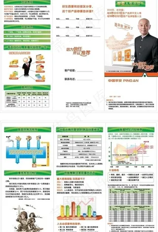 中国平安智赢人生产品三折页图片