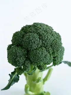 花菜图片 花菜图片