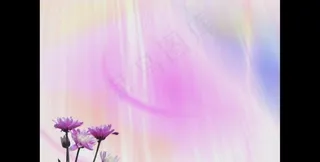 婚庆动态背景素材图片