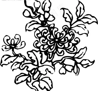 矢量菊花图片 矢量菊花图片