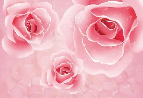 梦幻玫瑰图片