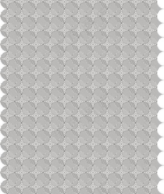 压纹折光花纹图图片