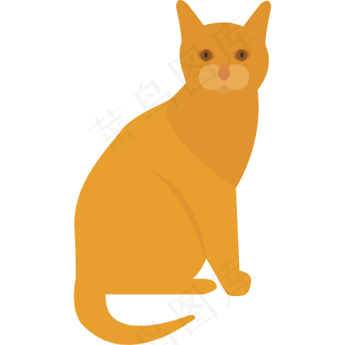 猫 小猫 哺乳动物 猫叫 宠物