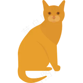 猫 小猫 哺乳动物 猫叫 宠物