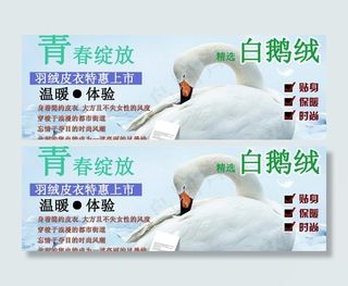 冬装羽绒服模版图片