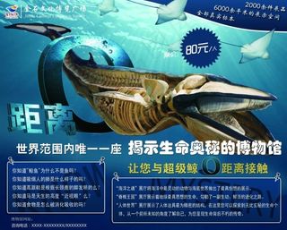奥秘展板
