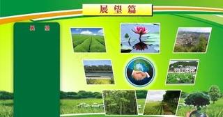 环保生态建设 绿色图片