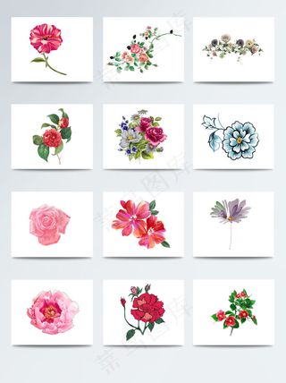 手绘花素材