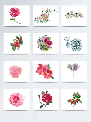 手绘花素材