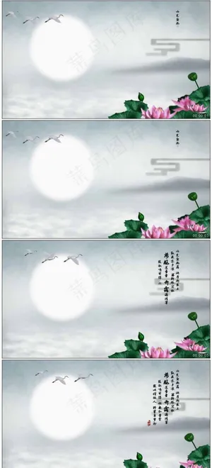 荷花唯美中国风高清动态视频素材