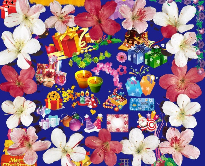 礼物 花 素材图片psd模版下载