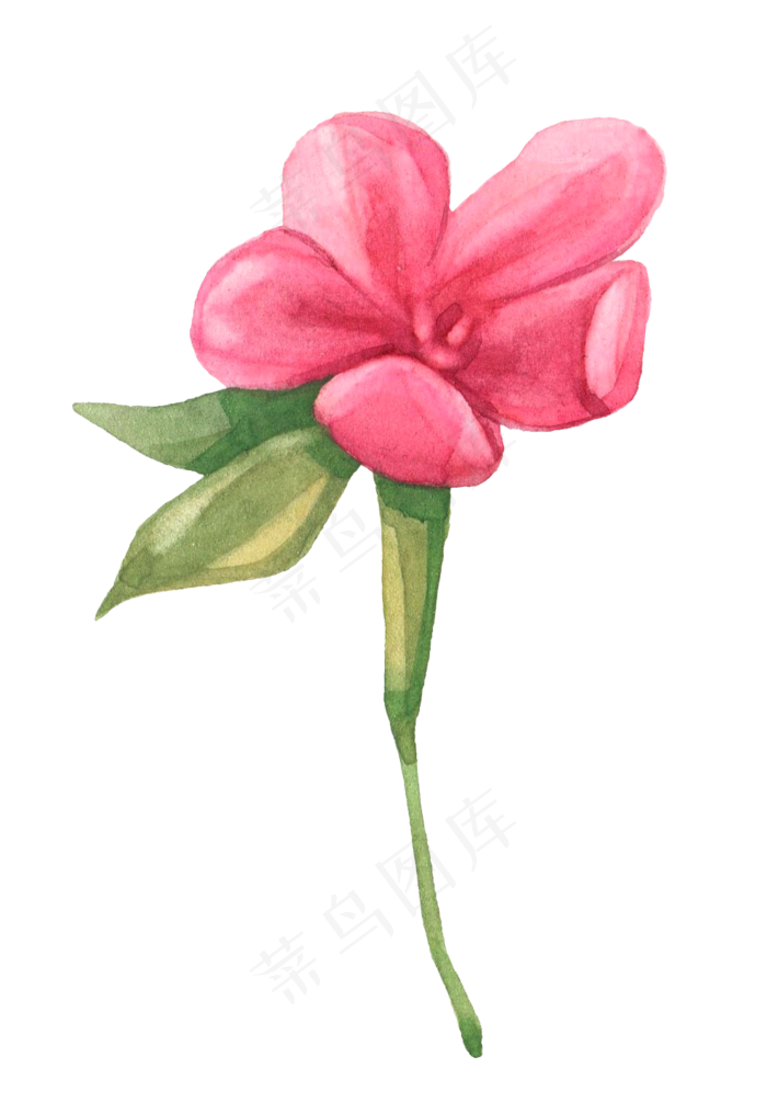 夏日花朵手绘水彩矢量设计素材