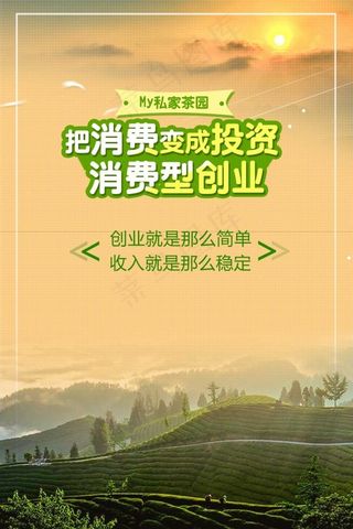 茶叶创业推广海报psd源文件