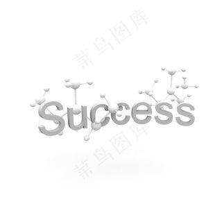 成功的分子