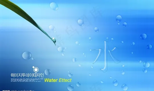 晶莹水滴图片 晶莹水滴图片