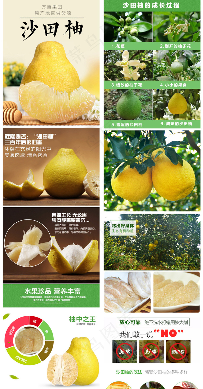 沙田柚详情页 淘宝水果PSD 源...
