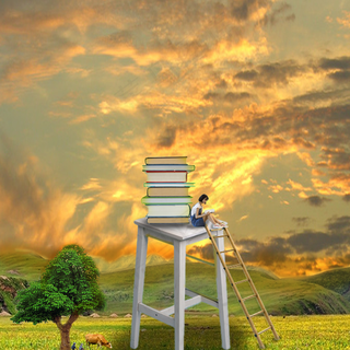 合成背景素材 黄昏 草原 书 自然风景背景