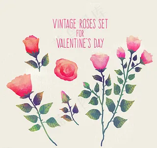 情人节玫瑰图片