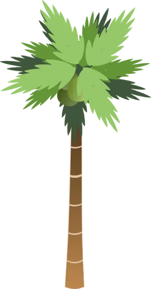 棕榈树的剪辑艺术