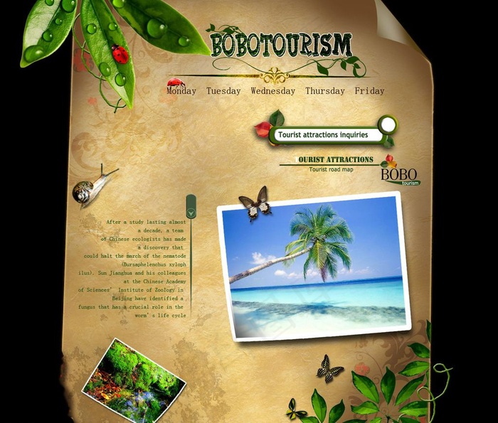 旅游公司网页设计图片