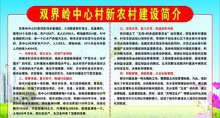 村新农村建设简介图片