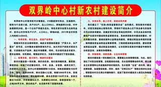 村新农村建设简介图片