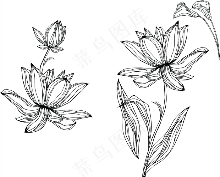 线描花免费下载 矢量素材 线描psd模版下载