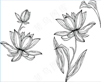 线描花免费下载 矢量素材 线描 线描花免费下载 矢量素材 线描