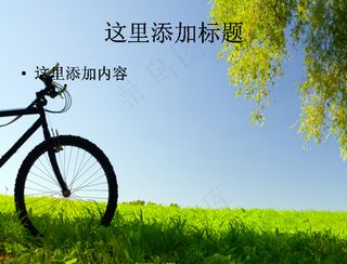 
春天草地自行车
