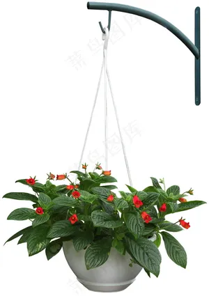 花卉艺术