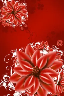 红色的花朵的插图 红色的花朵的插图