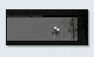 爱在情浓时图片