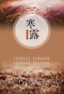 2017二十四节气之寒露简约海报