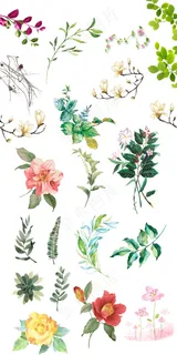 唯美清新手绘花蕊绿叶素材