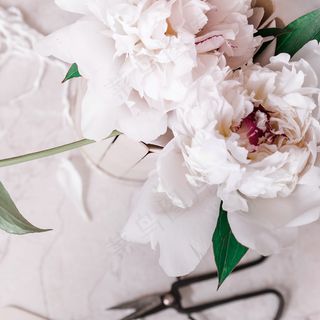 简约小清新文艺风插花静物摆拍背景
