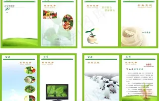 宣传册内页 绿底清雅图片