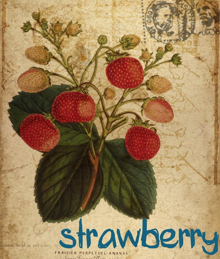 欧式复古水彩花卉图片