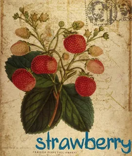 欧式复古水彩花卉图片