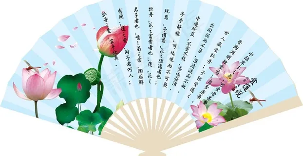 夏天荷花扇子图片