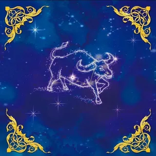 蓝色欧式星座婚礼