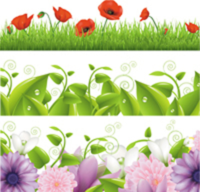 花卉植物边框背景