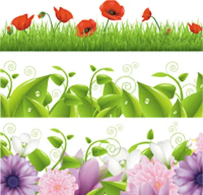 花卉植物边框背景eps,ai矢量模版下载